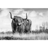 TPFLiving Poster Leinwand / Skandinawischer Büffel in schwarz und weiß / Verschiedene Größen - OHNE Rahmen - Modell JB1177